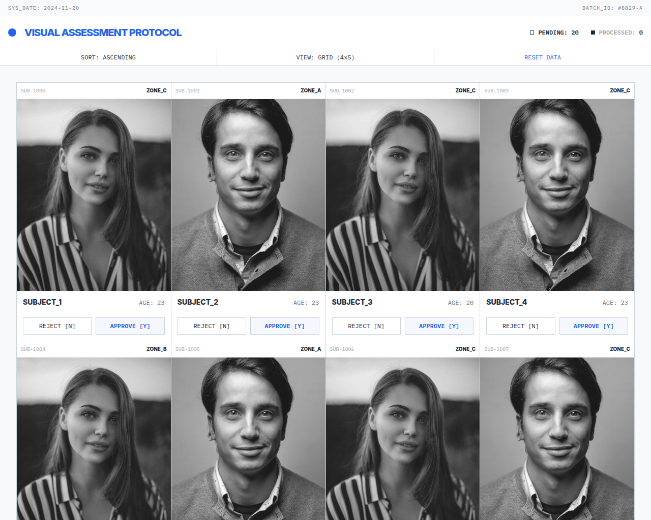 Approve or Deny Preview